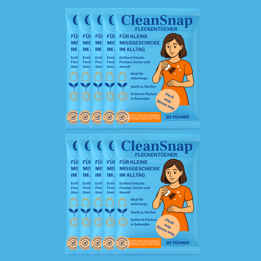 CleanSnap 10er Family Box – 200 Tücher